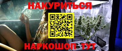mdpv Бийск