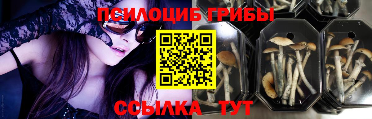 БУТИРАТ Зима