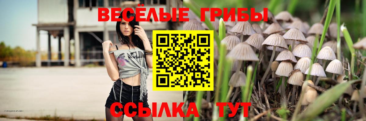 наркотики  Вход с VPN  Зима  Галлюциногенные грибы Cubensis 